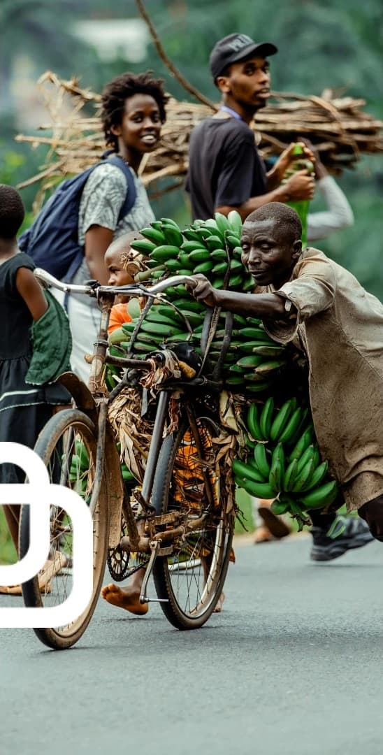 A trader pushing a bicycle loaded with matooke along a road